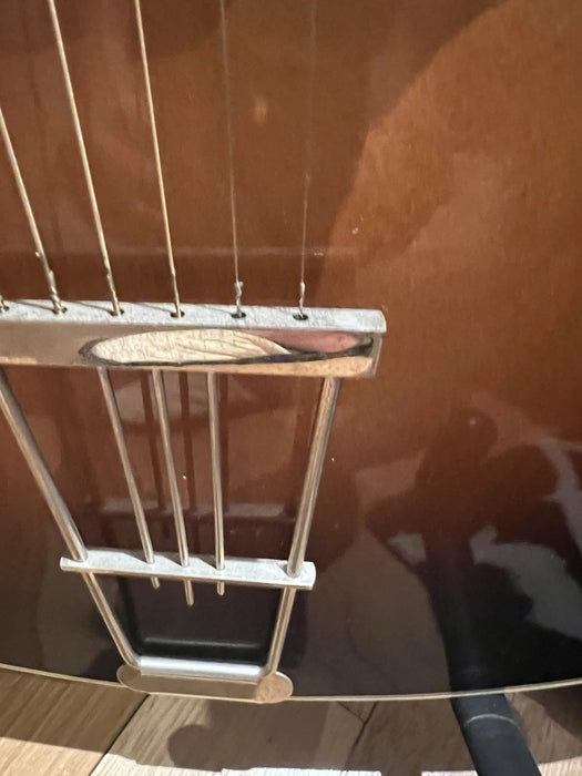 Guitare Jazz Archtop ISANA Deluxe 1959 – Vintage Allemande – Avec Étui d'Origine