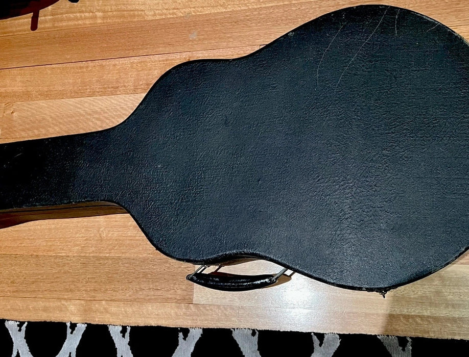 Guitare Jazz Archtop ISANA Deluxe 1959 – Vintage Allemande – Avec Étui d'Origine