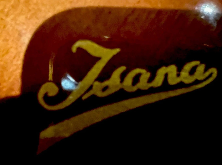 Guitare Jazz Archtop ISANA Deluxe 1959 – Vintage Allemande – Avec Étui d'Origine