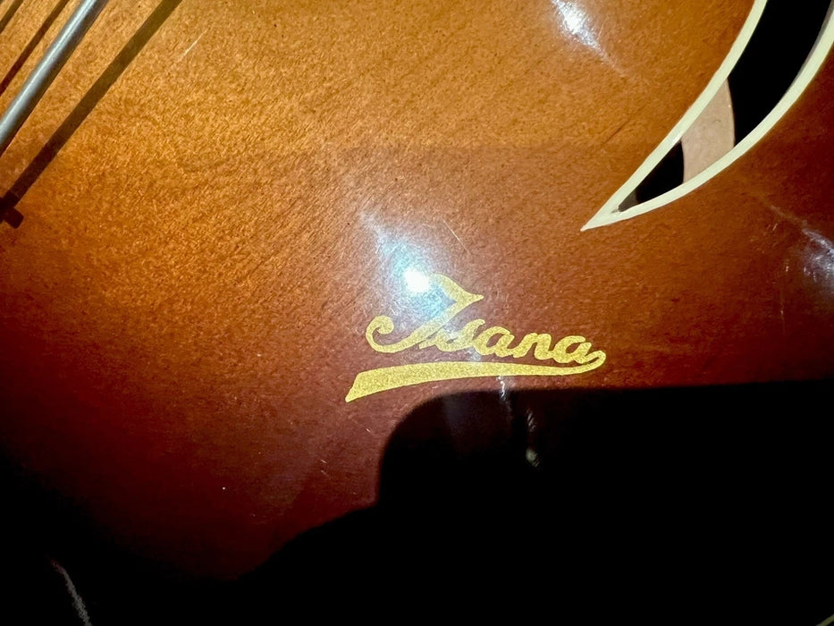 Guitare Jazz Archtop ISANA Deluxe 1959 – Vintage Allemande – Avec Étui d'Origine