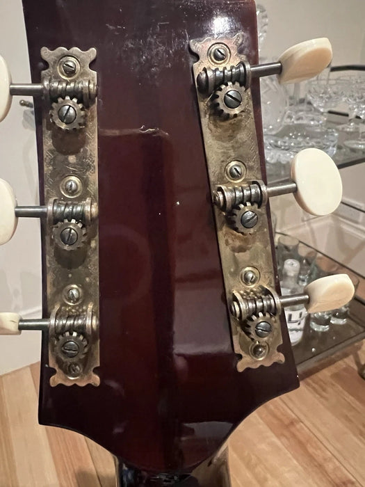 Guitare Jazz Archtop ISANA Deluxe 1959 – Vintage Allemande – Avec Étui d'Origine