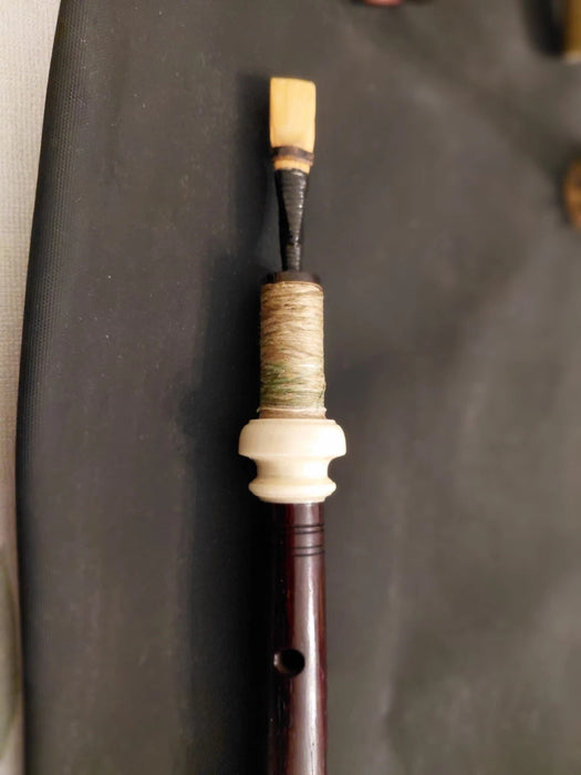 Demi-jeu de Uilleann Pipes en Ré (D) – Alan Ginsberg – Fabriqué au Pays de Galles (1997)